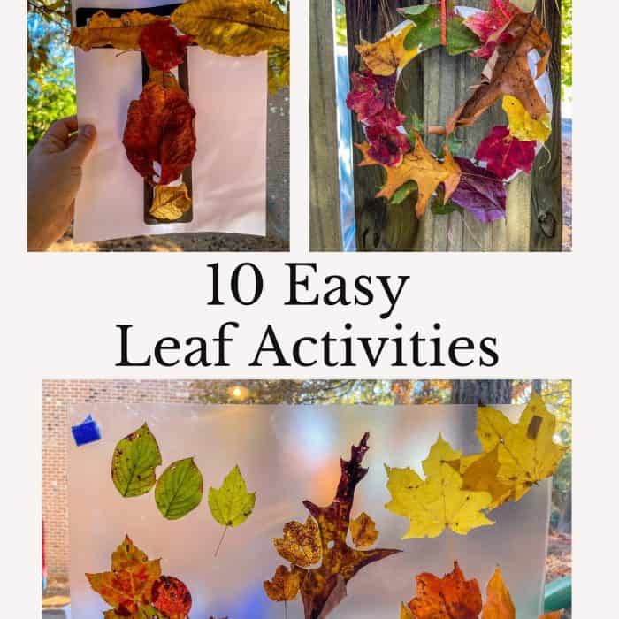 10 Easy Leaf Activities