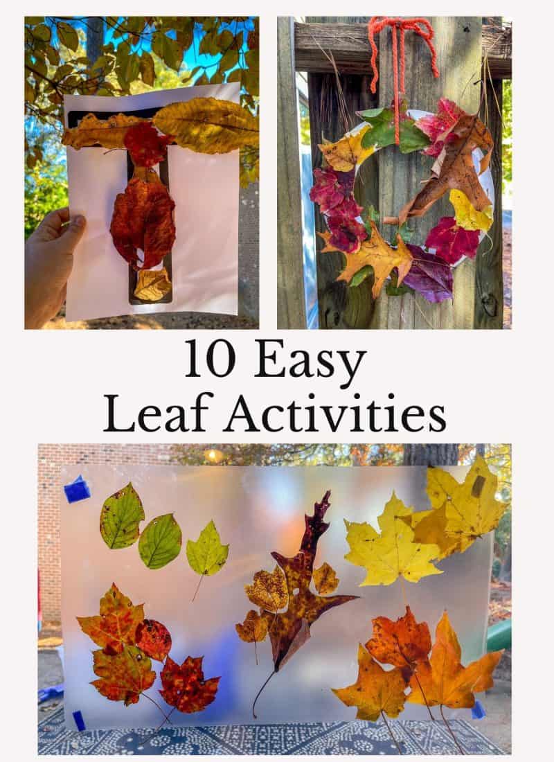 10 Easy Leaf Activities