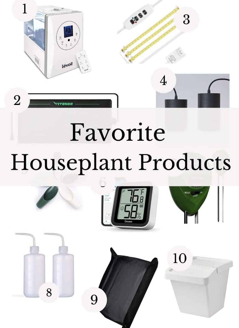 Must-Have Indoor Houseplant Supplies