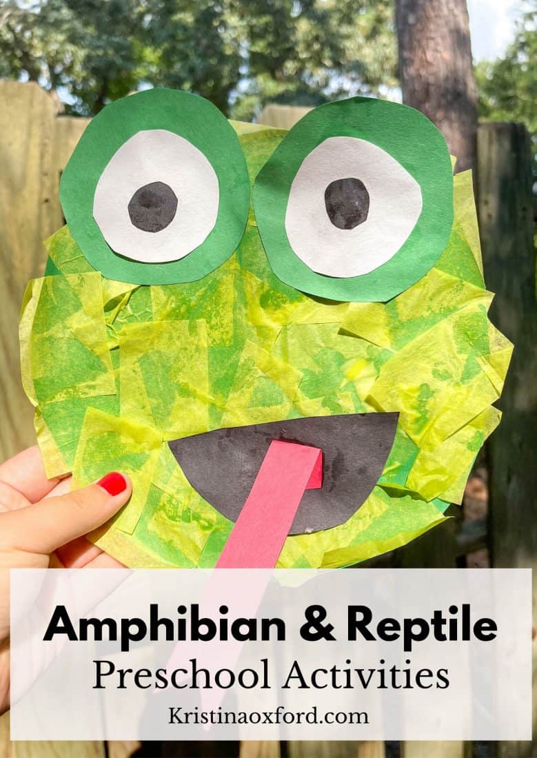 Amphibian and Reptile Pinterest Pin of frog craft