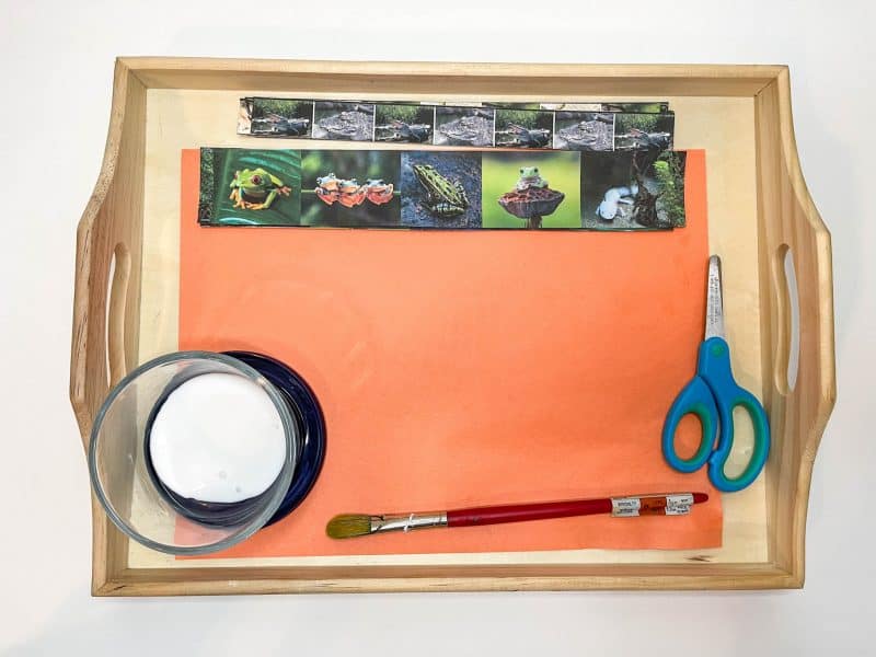 Preschool cutting a gluing activity. Strips of paper with amphibians and reptiles, a bowl of glue, scissors, an orange piece of paper, and a paint brush.