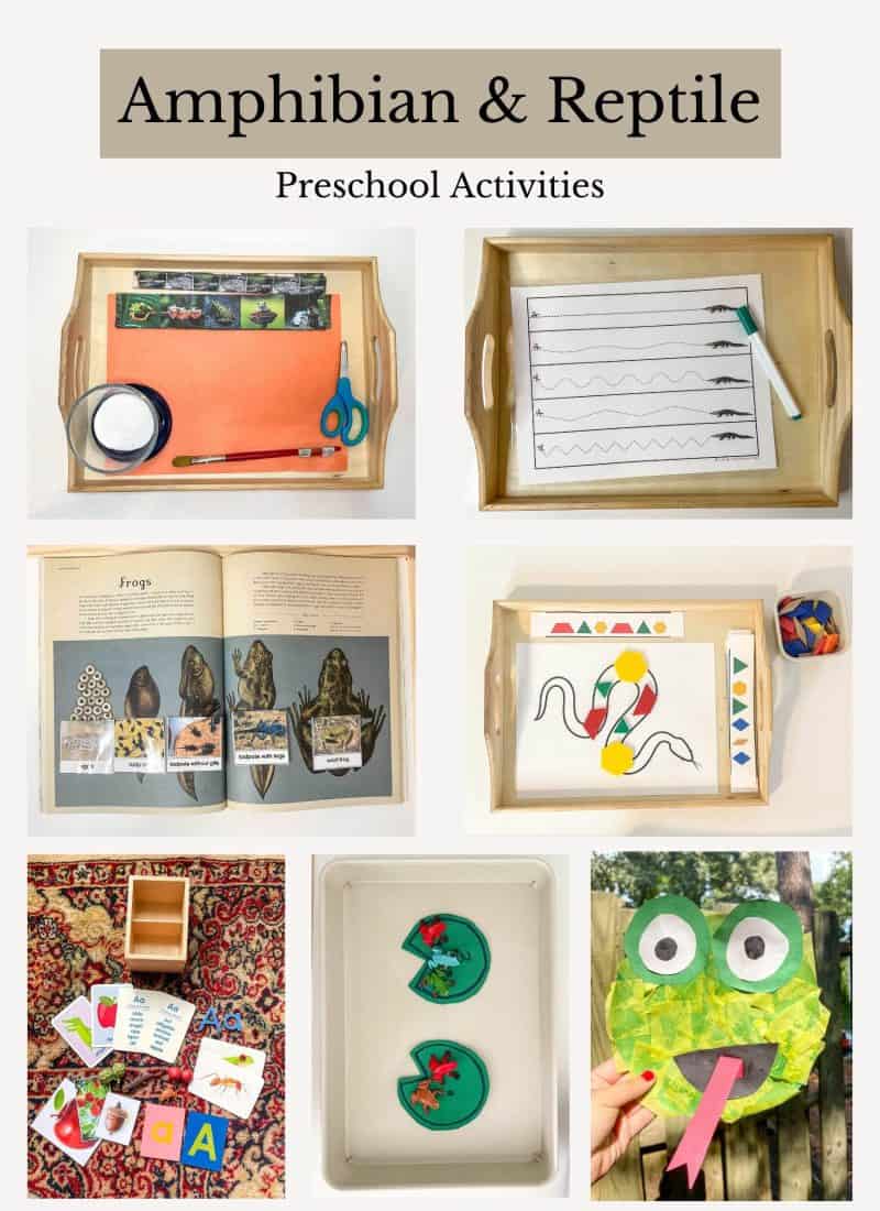 Reptile and Amphibian Preschool Activities