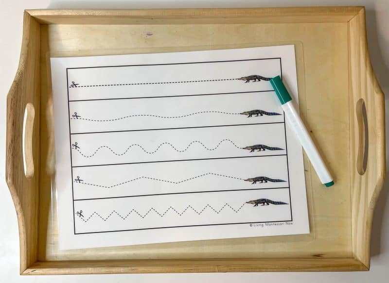 Reptile tracing activity sitting on a wooden try. 