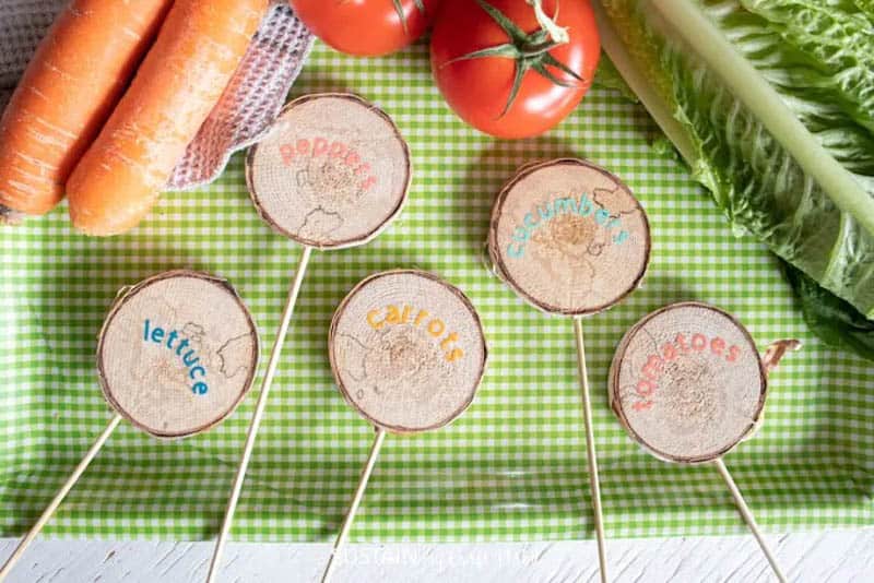 Wood Slice Garden Markers with Cricut Joy