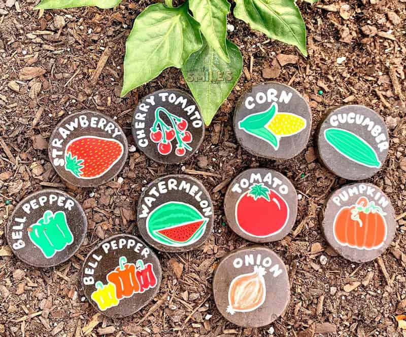 Painted Rock Garden Markers