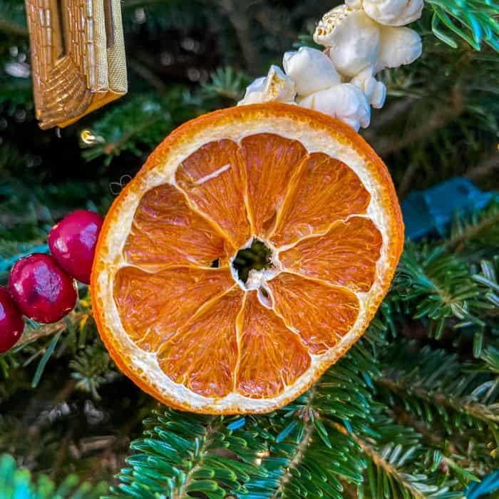 Dried orange slice strung with popcorn and fresh cranberries and hung on a Christmas tree