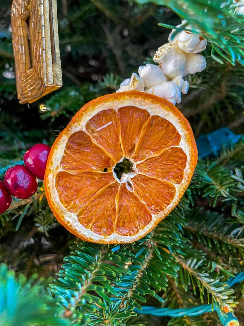 Dried fruit garland. Dried orange slice strung with popcorn and fresh cranberries and hung on a Christmas tree