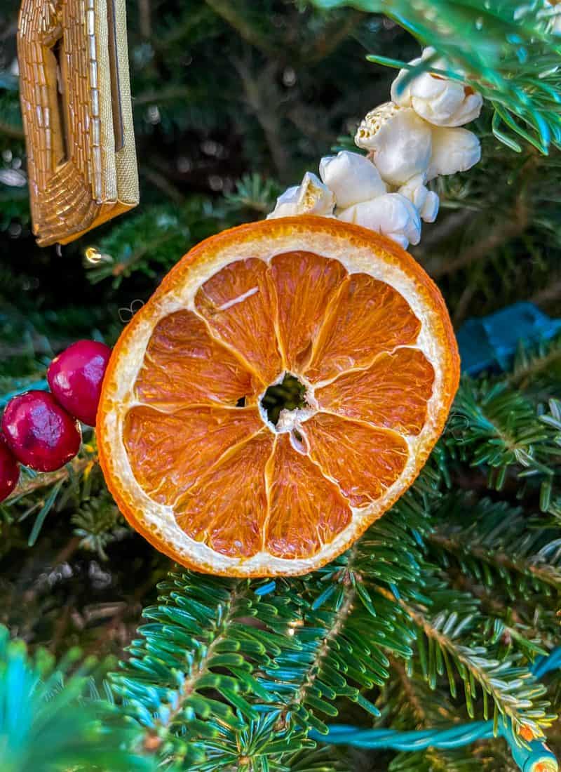 How to Make a Dried Fruit Garland