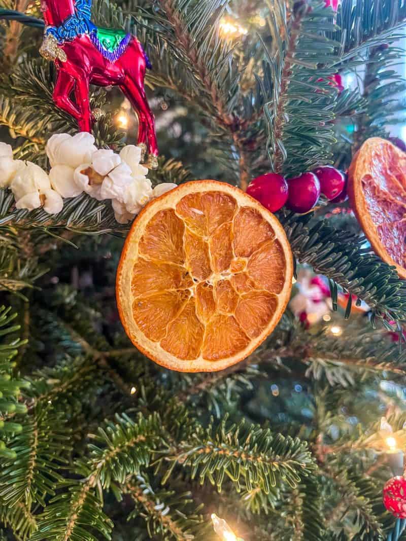 Close up and a dried fruit garland stung on a Christmas tree. Dried orange with popcorn and cranberries