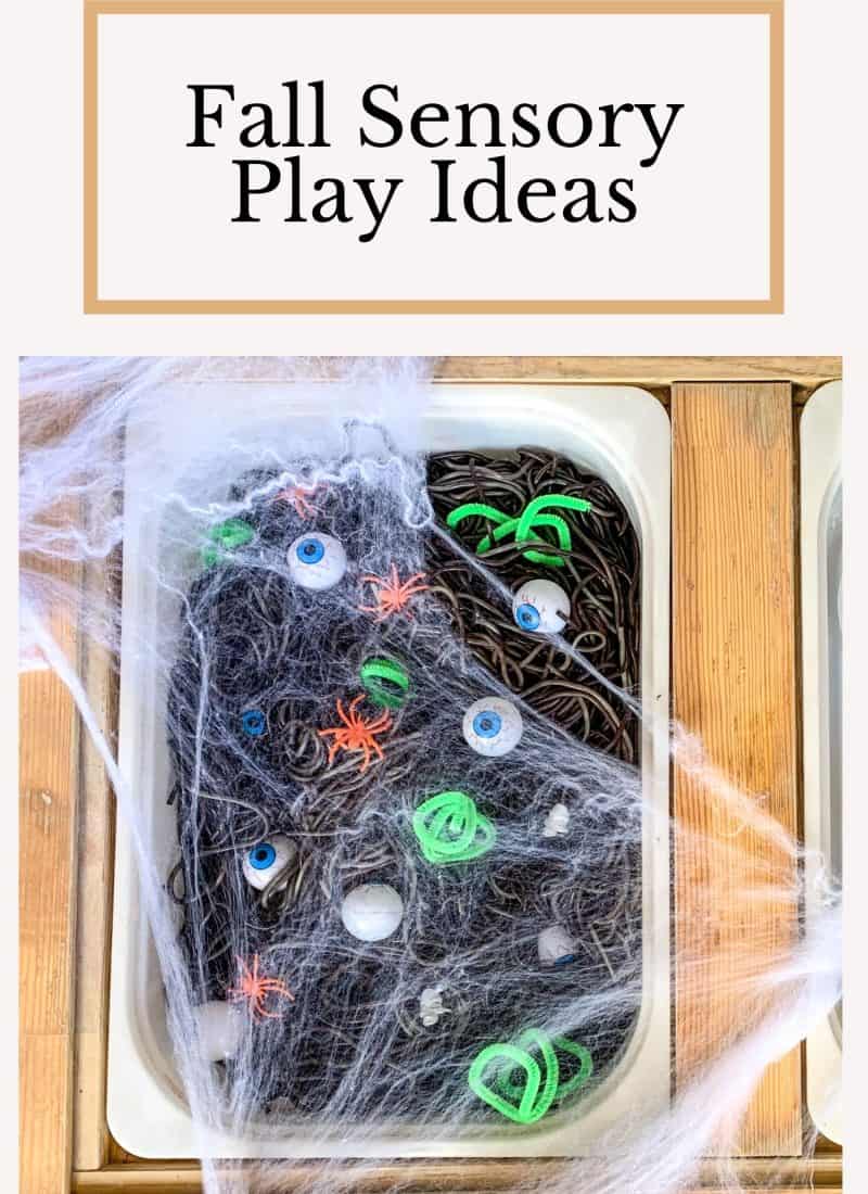 Fall Toddler Sensory Play