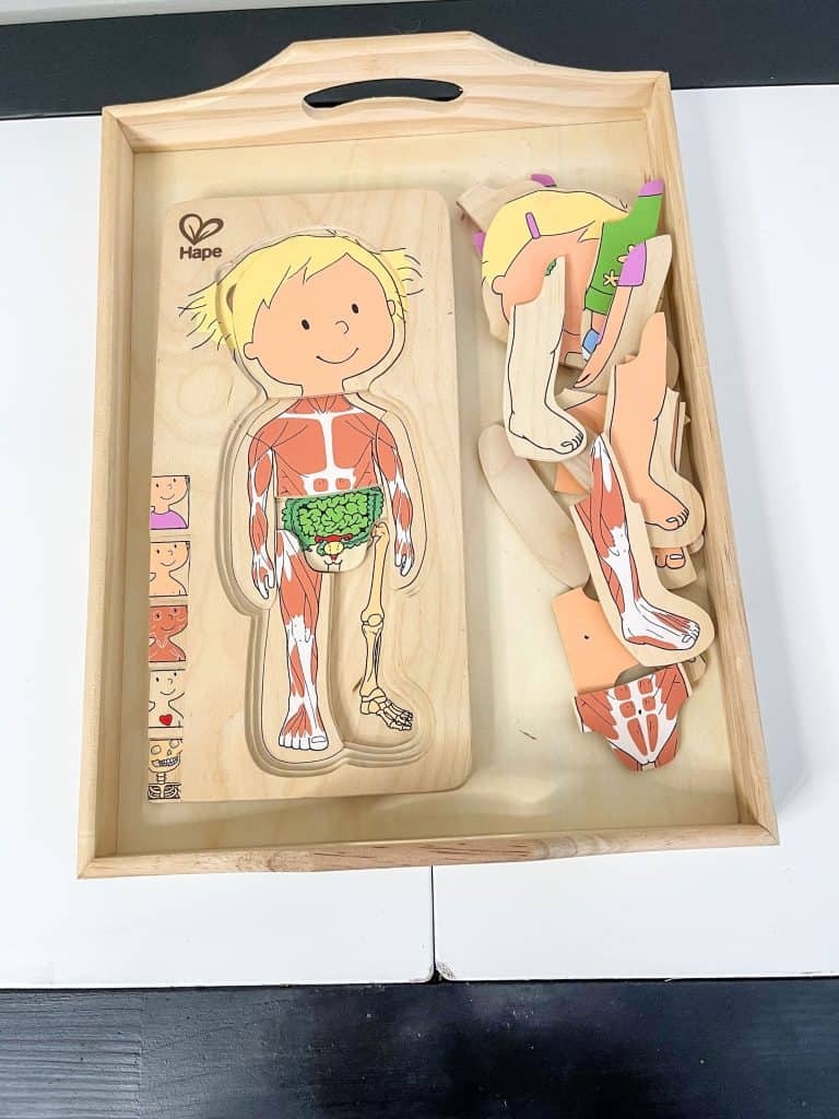 Hape Your Body Puzzle