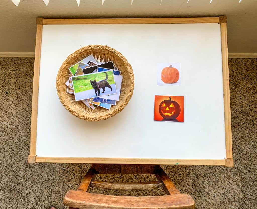 Montessori Fall Activity