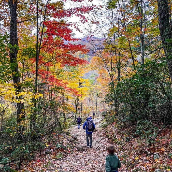 Hiking with kids Pin