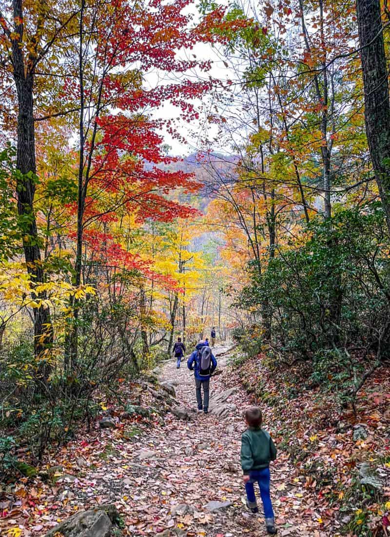 Hiking With Kids-10 Tips To Make It Fun