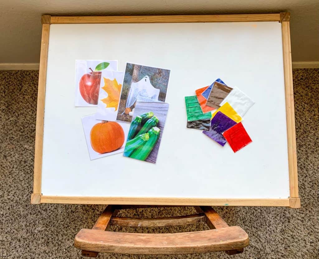 Montessori Fall Activity