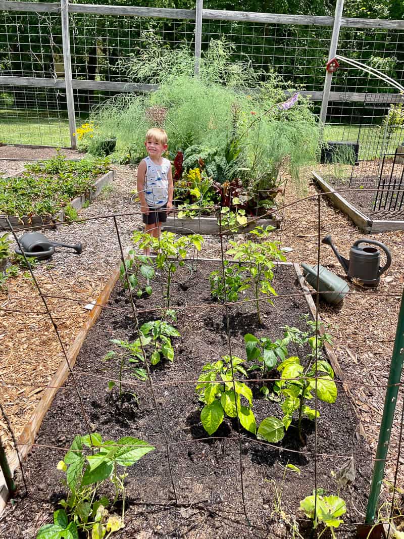 Toddler gardening