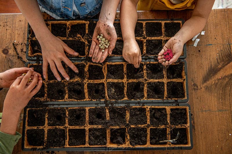 Gardening with toddlers- Children planting seeds